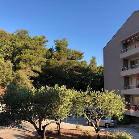 Grand Studio A Hyeres Entre Mer Et Ville Exterior foto